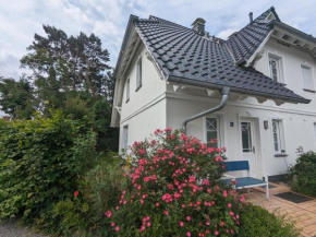 Dünenrose, Born Am Darß